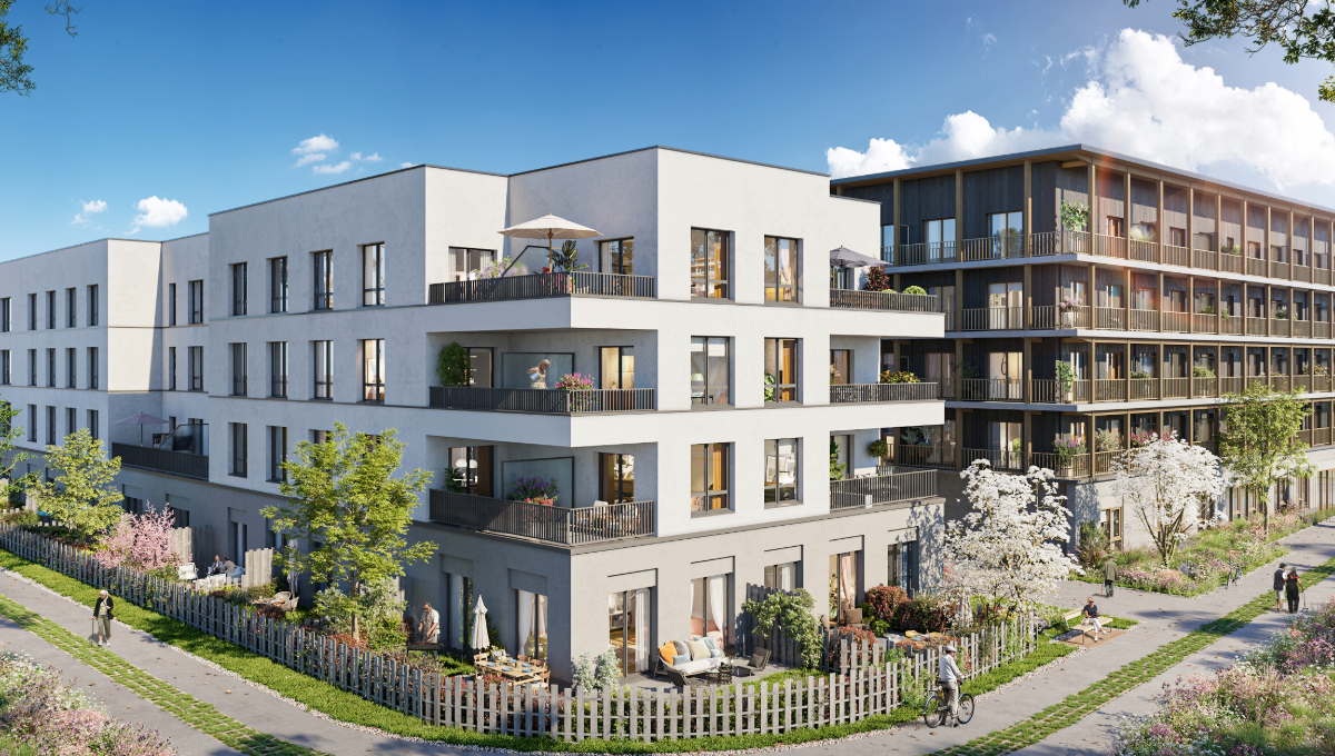 Adobe Express – file